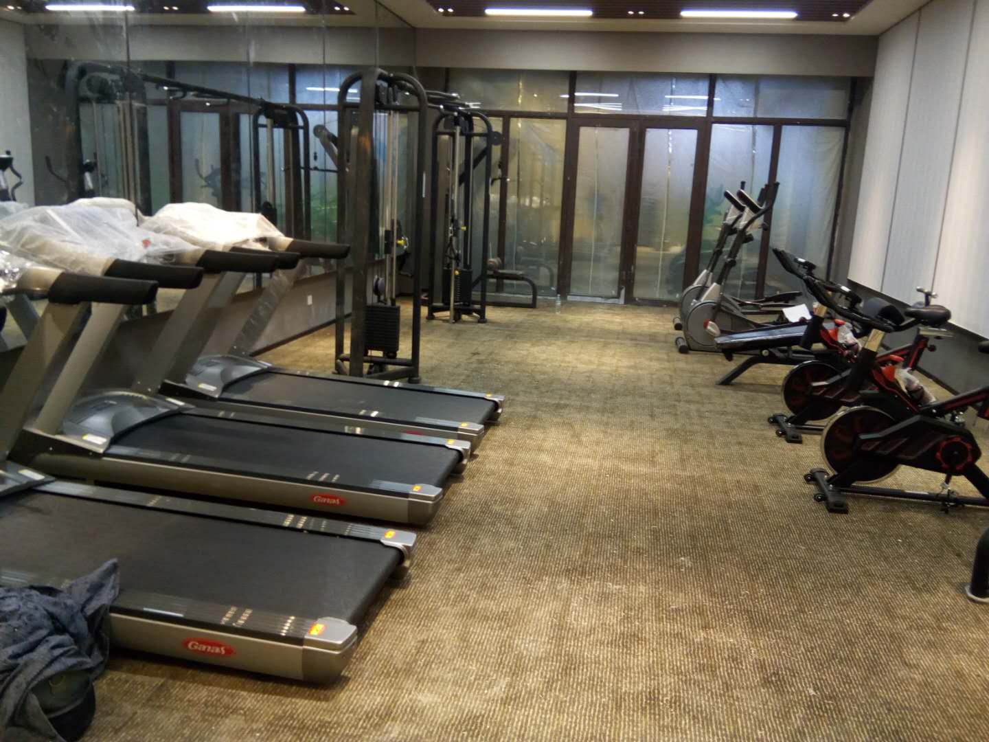 山東淄博恒台碧桂園鳳凰酒店健身房 泡芙视频免费观看网健身器材生產廠