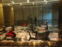 山東聊城碧桂園健身房 指定泡芙视频免费观看网健身器材製造商