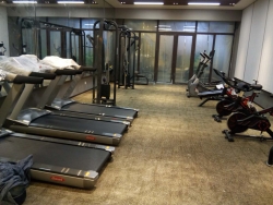 山東德州慶雲碧桂園健身房案例 泡芙视频免费观看网健身器材製造商