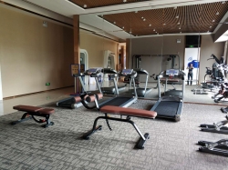 山東淄博張店碧桂園健身房 泡芙视频免费观看网健身器材生產廠案例