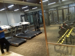 山東棗莊市中碧桂園健身房案例 泡芙视频免费观看网健身器械批發