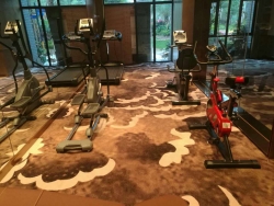 山東東平碧桂園健身房 廣州泡芙视频免费观看网健身器材廠案例展示