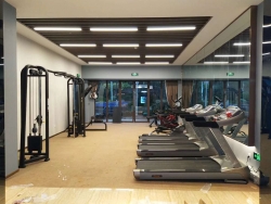 湖南德州陵城區碧桂園健身器材 泡芙视频免费观看网地產健身房案例