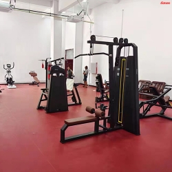 安徽省合肥市廬江縣白湖農工商集團健身房