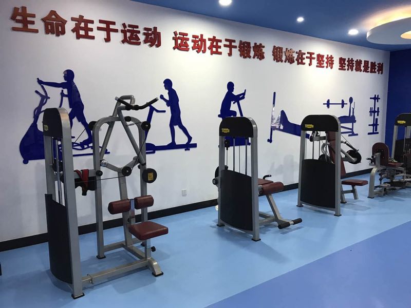背肌訓練器