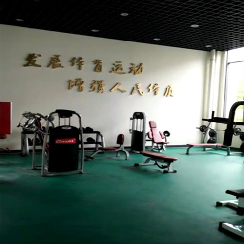健身器材,室內器材,健身器材廠家,泡芙短视频污黄APP网站下载健身器材