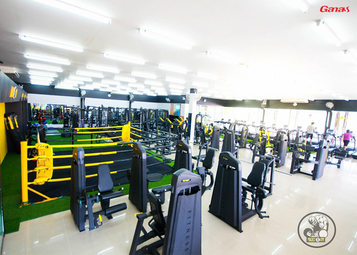 泰國客戶健身房 - 泡芙视频免费观看网健身器材案例