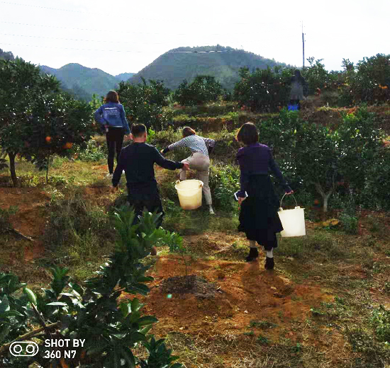 泡芙视频免费观看网健身器材公司 “親近自然，采摘臍橙”隻為到廠的你！