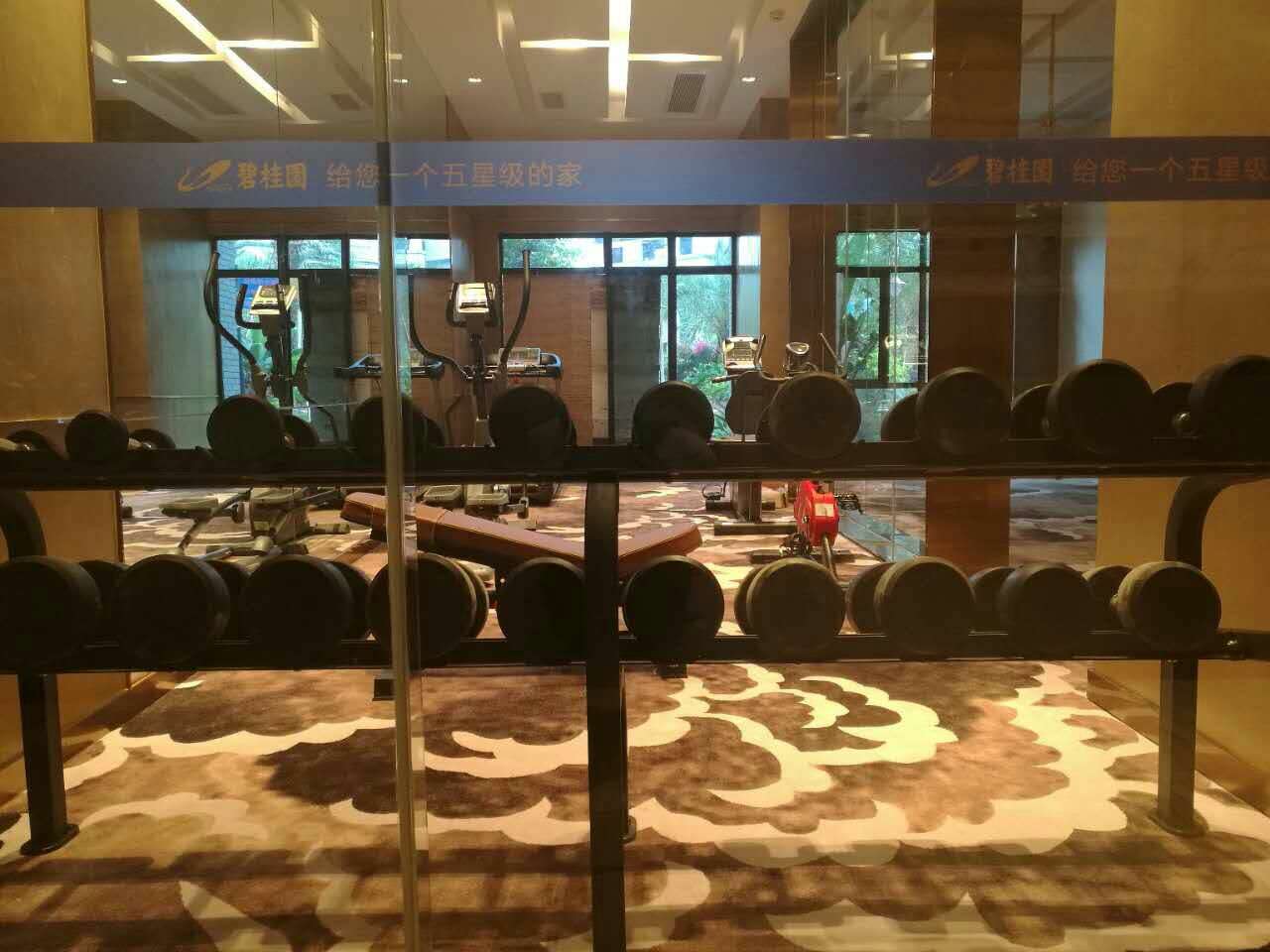山東德州臨邑碧桂園健身房案例 泡芙视频免费观看网室內健身器材廠