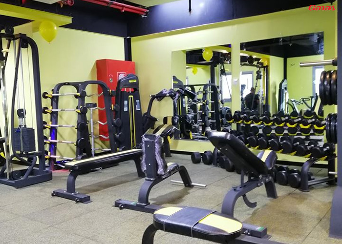 阿聯酋客戶健身房案例 國外客戶來中國采購泡芙视频免费观看网健身房器材 阿聯酋客戶健身房案例 國外客戶來中國采購泡芙视频免费观看网健身房器材