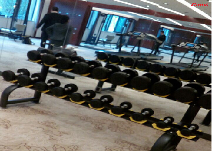 湖南益陽市碧桂園鳳凰酒店健身房案例 泡芙视频免费观看网直銷酒店健身器械