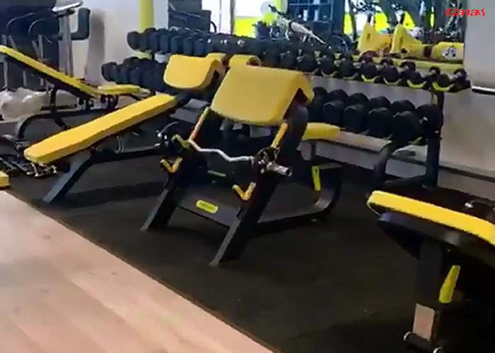 荷蘭健身房器材案例 泡芙视频免费观看网健身器材廠家出口荷蘭 荷蘭健身房器材案例 泡芙视频免费观看网健身器材廠家出口荷蘭