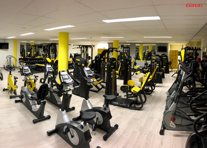 荷蘭健身房器材案例 泡芙视频免费观看网健身器材廠家出口荷蘭 荷蘭健身房器材案例 泡芙视频免费观看网健身器材廠家出口荷蘭