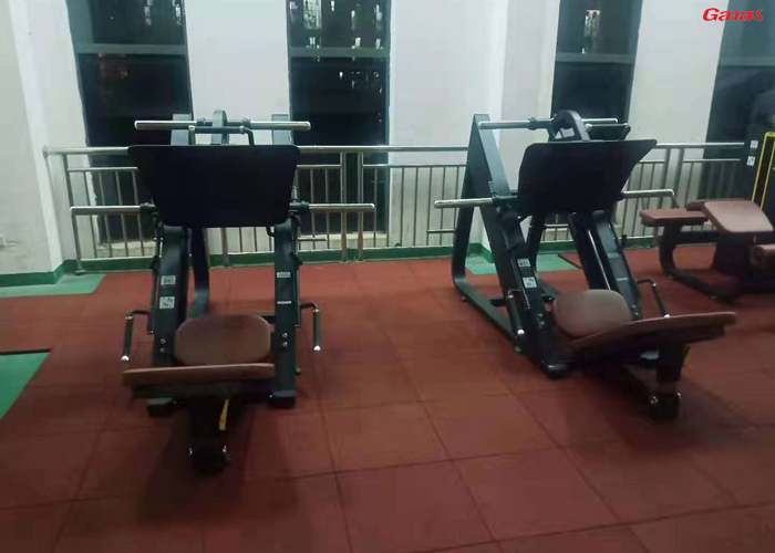 廣東省茂名幼兒師範專科學校健身房