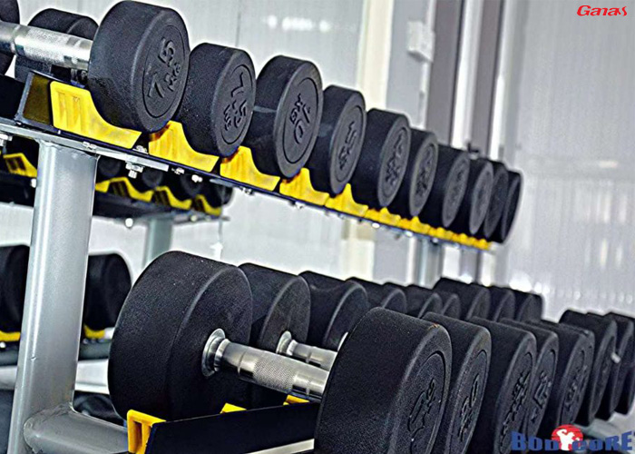 毛裏求斯健身房器材圖片