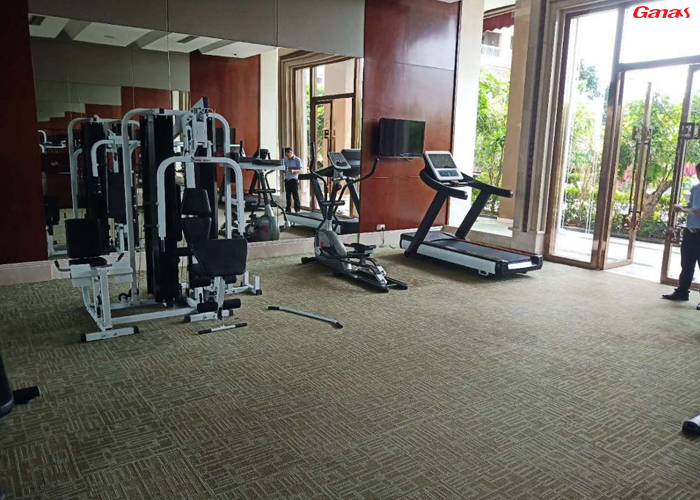 東莞柏悅國際酒店健身房案列