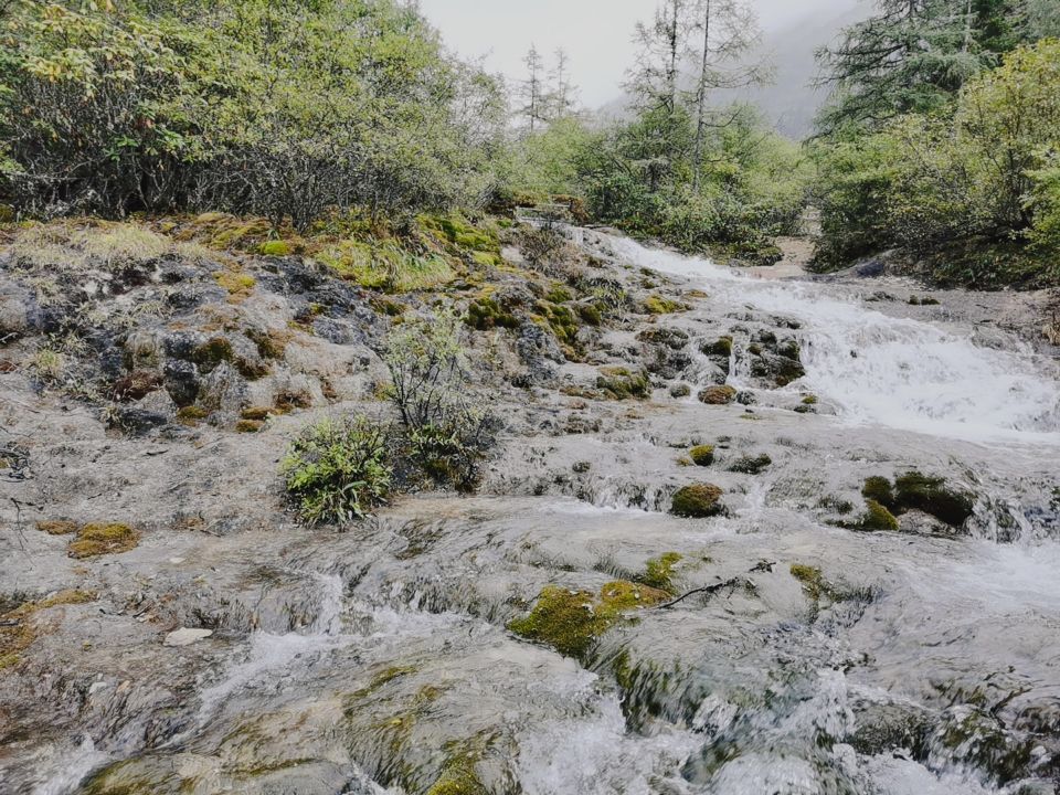泡芙视频免费观看网健身器材廠家優秀員工樂遊四川