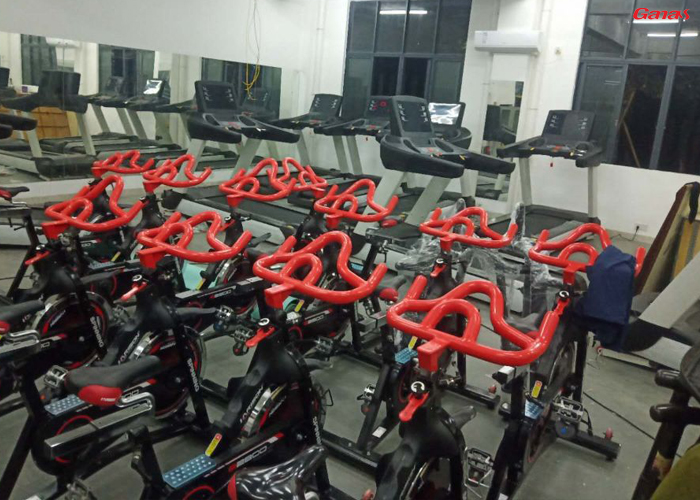 樂從龍舟訓練基地健身房