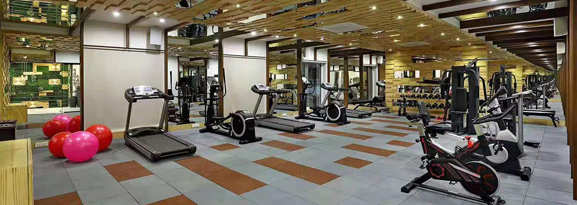 健身器材 健身器材